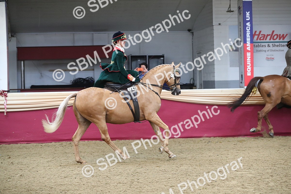 SBM_11553 - Class 105 Ridden Costume- Side Saddle