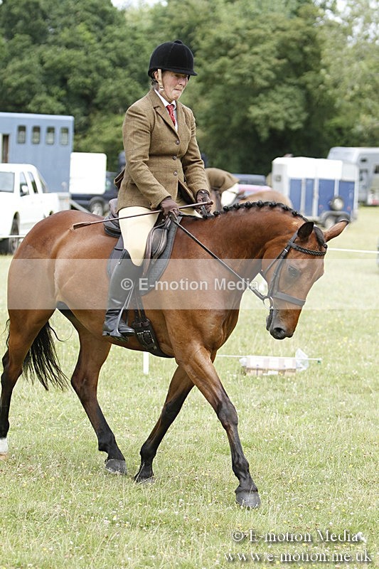 BVR160717-1803 - Ring 3 BVRC Show 16/07/17