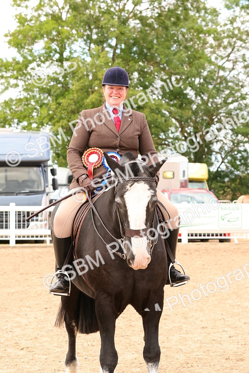 SBM_15591 - Class 214 - Ridden Show Cob
