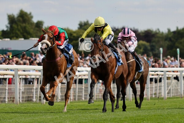yr08072022r5-5 - Race 5 4.25pm Azets Stakes