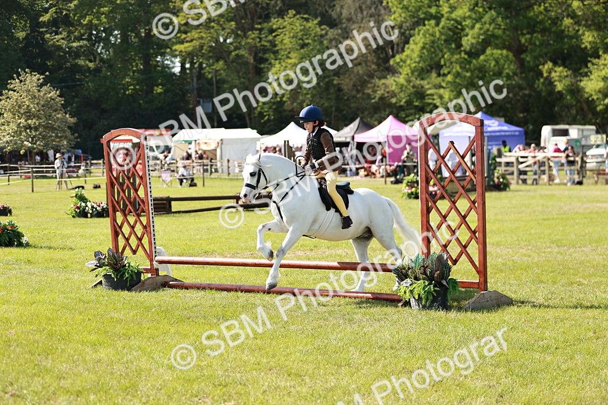 SBM_12641 - Class 106-107 - BSPS LIHS Working Sports Pony