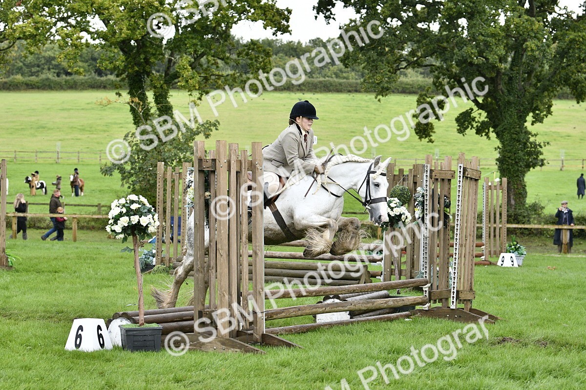 SBM_41539 - S32 - Mountain & Moorland Working Hunter Pony