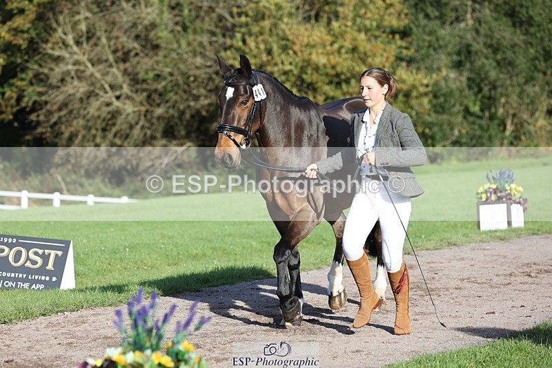 241027-093852-15413 - 441-Molly.Swain-SOCKS