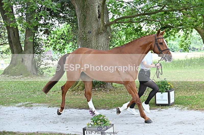 250521A-152706-00516 - B-313-Cosby.Green-ESPRIT.DE.FEU