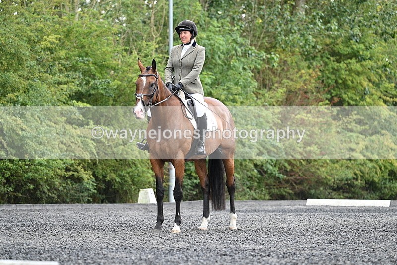 WJ7_6481 - Time 11:38 to 12:03