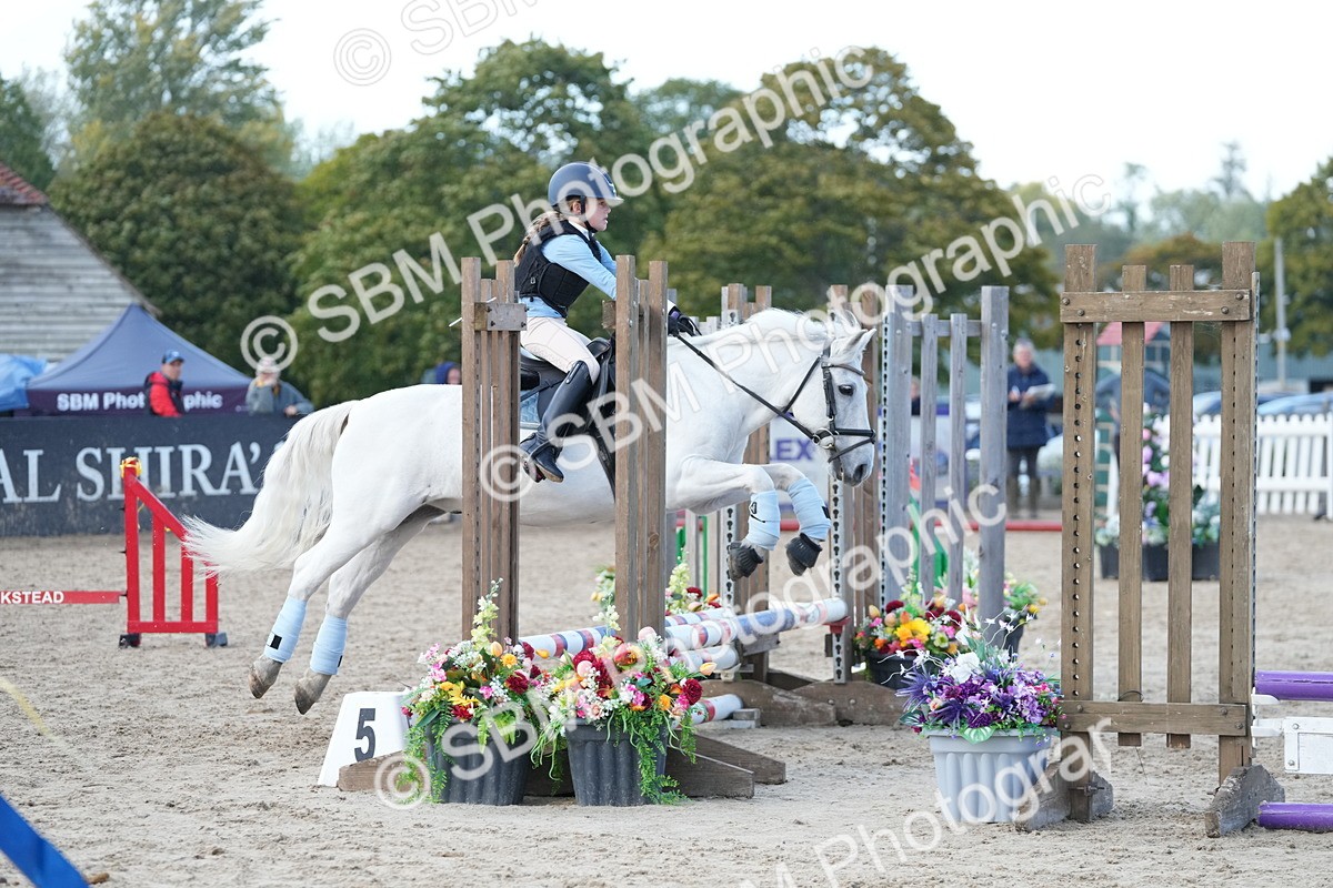 SBM_29178 - J43 - Horse & Hound Open 50cm