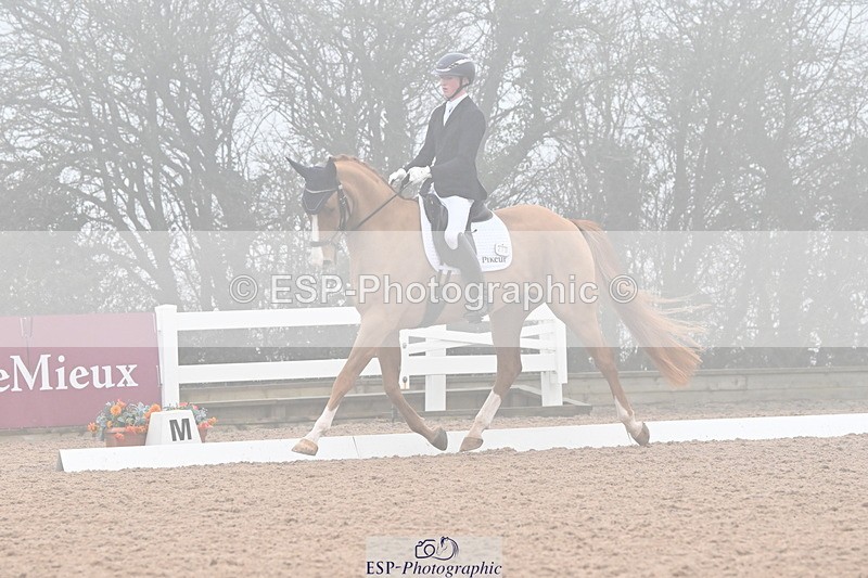 240217A-103344-01122 - 273-Tom.Carter-Newton.Dreamcatcher