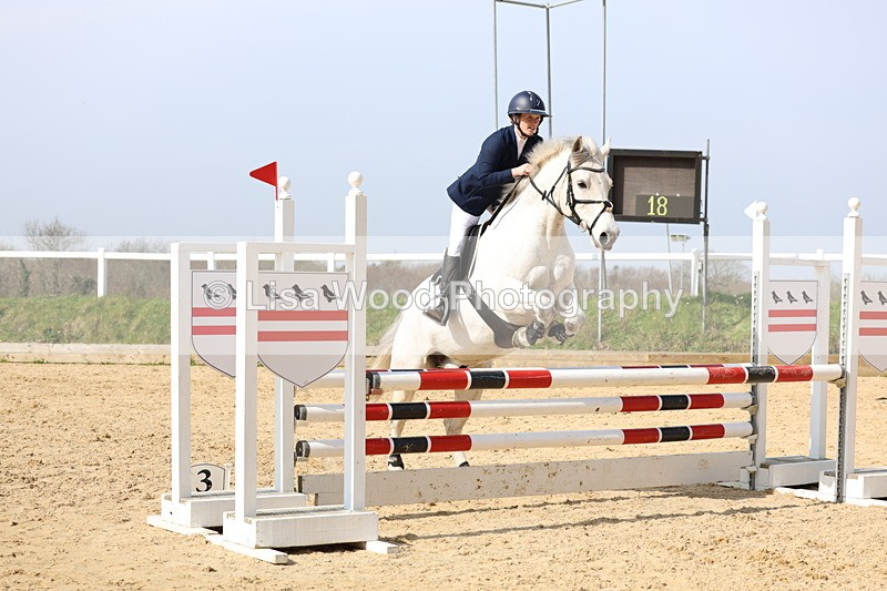 3E7A6597 - Class 4: Senior British Novice/90cm open