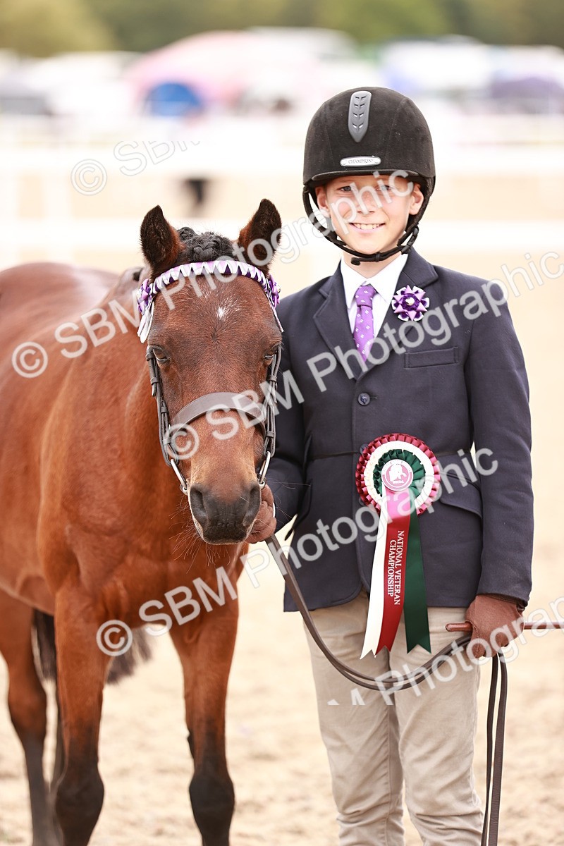 SBM_18629 - Class 421 - Childs Best Friend - Jnr