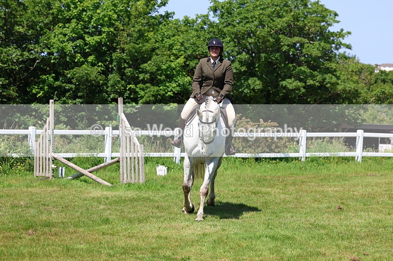 3E7A7496 - Class 31: Working Hunter Cob/Riding Horse