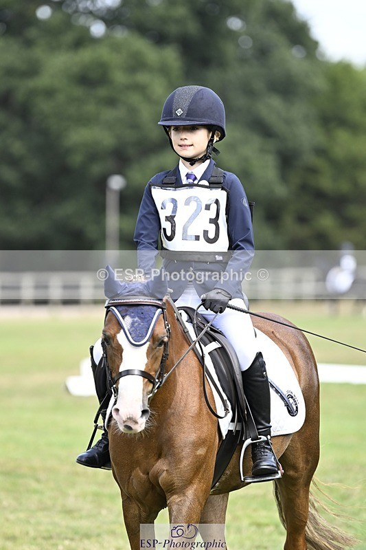 250821A-104126-14477 - DR 10.00 to 11.00