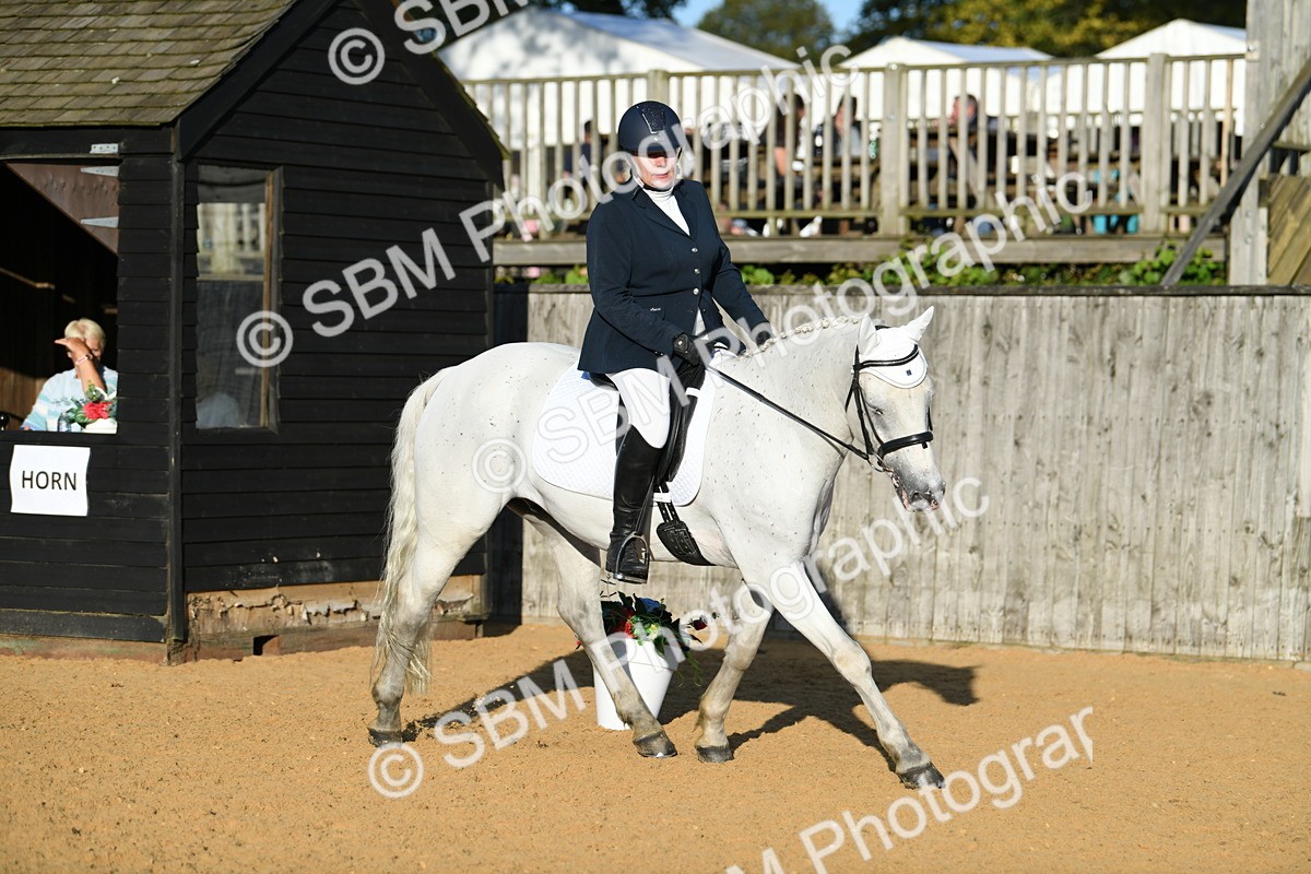 SBM_30798 - D16 - Small Tour Championship - Novice 28