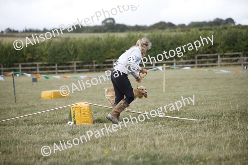 20250831-3858 - Dog Show