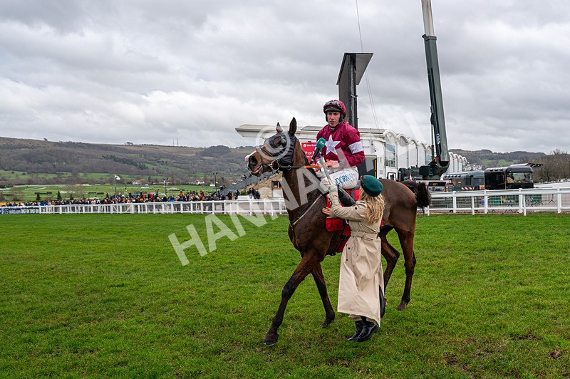 240126-Race 4-Favori De Champdou-4409 - Race 4