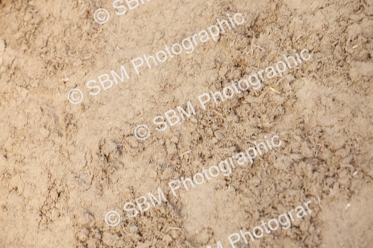 SBM_15610 - Class 109 - Ridden Pairs -Section A