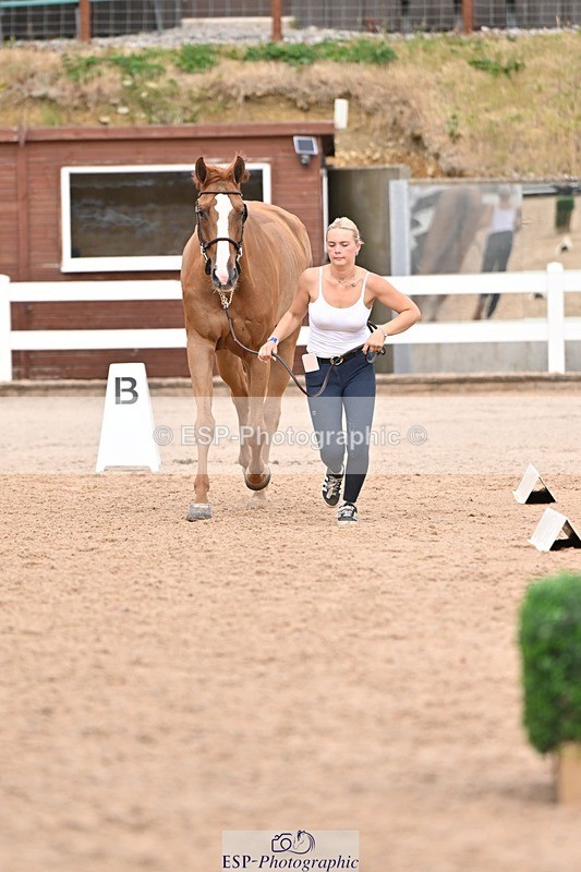 250716-163020-02646 - Trot Up 4.30 to 5.00