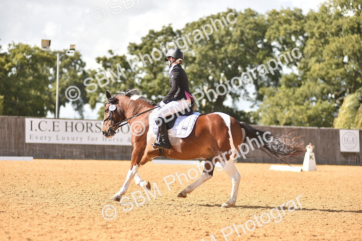 SBM_24257 - D4 - Small Tour Championship Intro 4