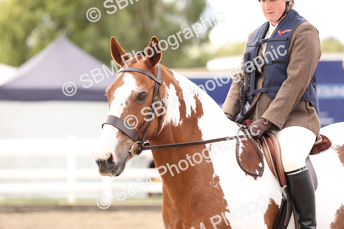 SBM_05090 - Class 56a -  Style & Performance - 50cm (15-19)