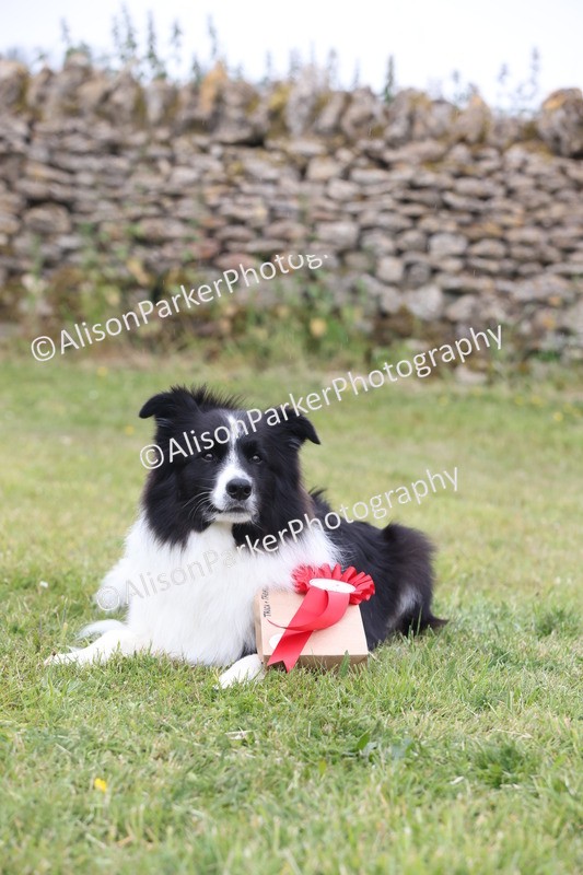 20250607-0258 - Class 5 - Trick and Treat