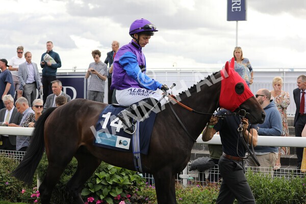 yr19082022r6-7 - Race 6 4.45 pm British Stallion Studs EBF Convivial Maiden Stakes