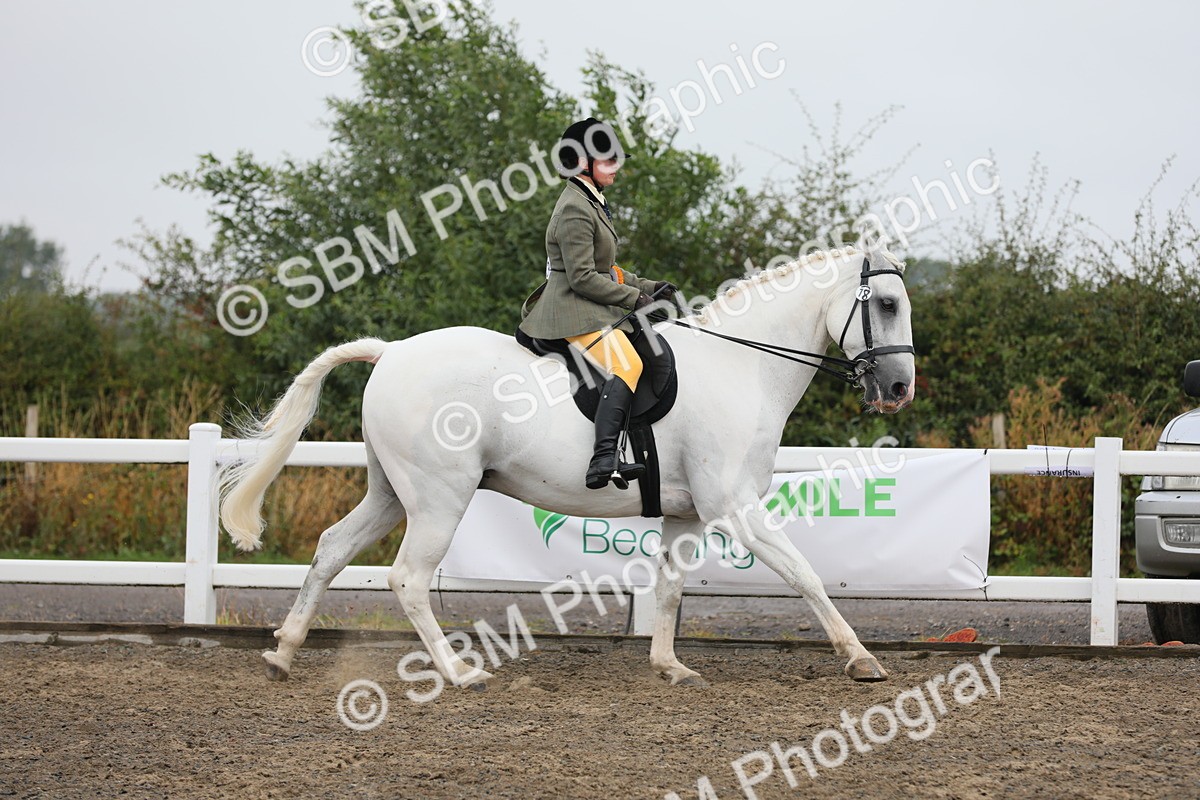 SBM_21432 - Class 805 - Ridden Veteran Horse