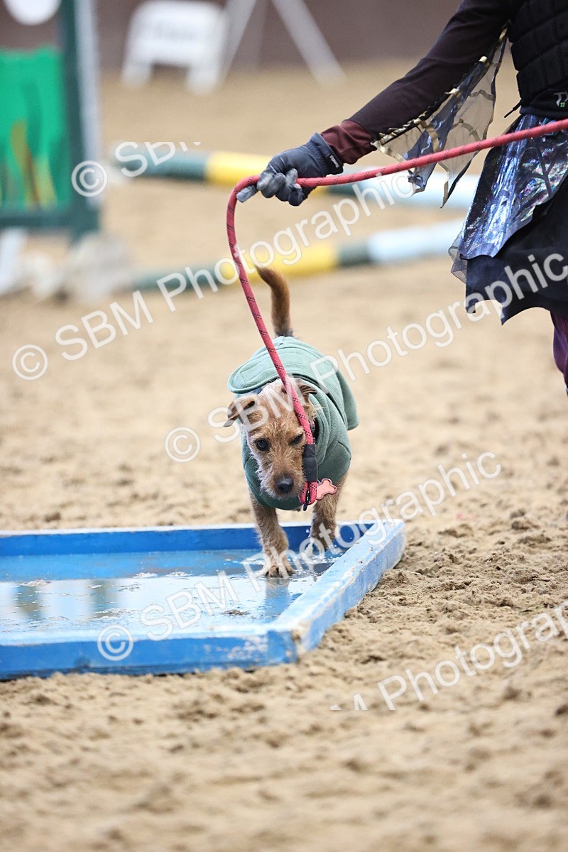 SBM_001539 - Class 3 - Horse & Hound 60cm