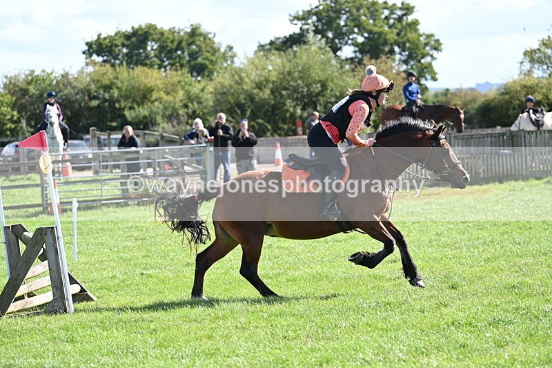 WJ7_1353 - Time 13:56 to 14:24