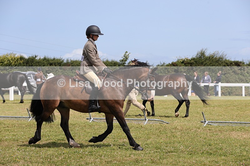 1X9A4132 - Class 32: Show Hunter Pony 153cm and under