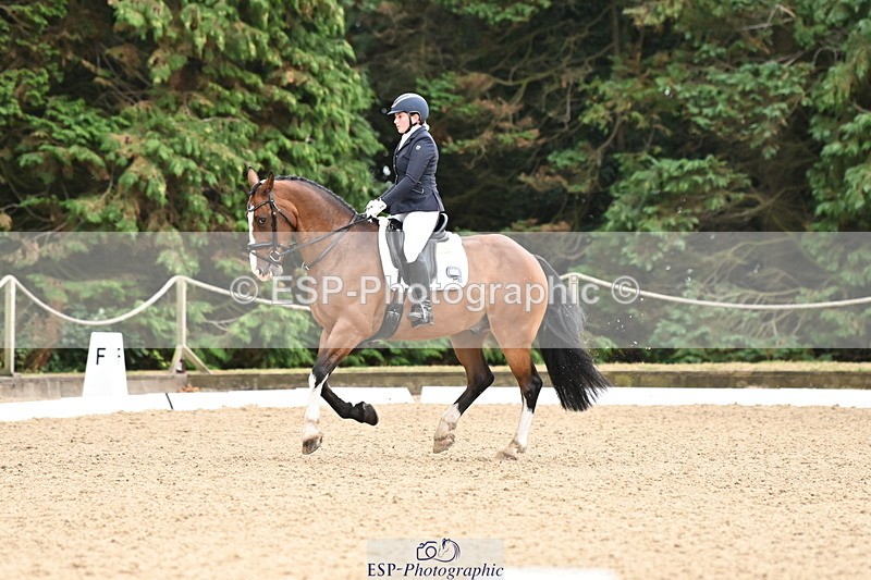 250808A-111353-00417 - 092-Bella.Balian-Beechwood.Joey