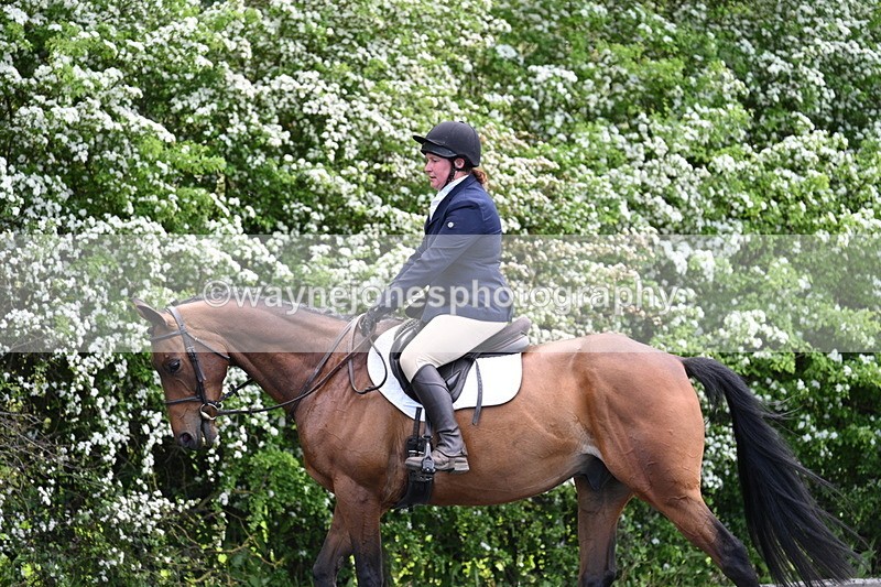 WJ7_8972 - Time 11:32 to 11:54