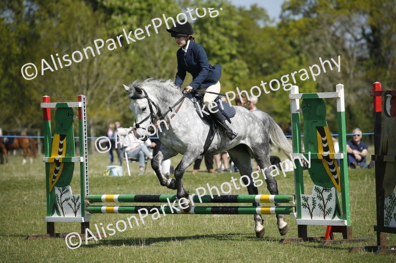 20250427-2168 - Class 13 - Novice Jumping 60cm