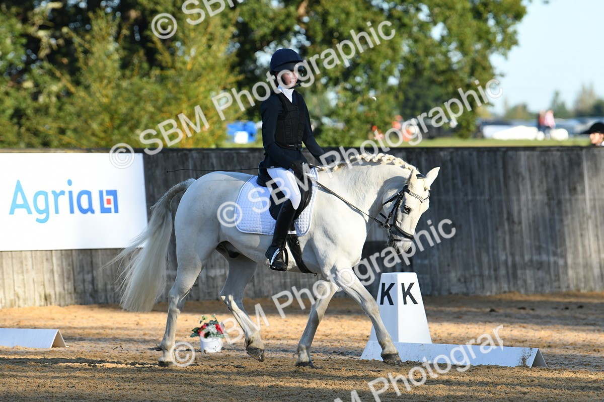SBM_14255 - D4 - Small Tour Championship - Intro B