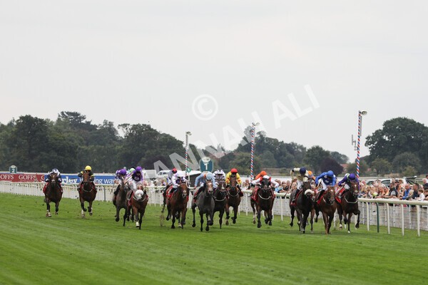 yr18082022r2-30 - Race 2 2.25pm Goffs UK Harry Beeby Premier Yearling Stakes