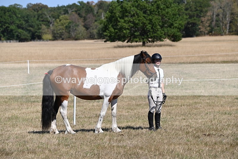 WJ6_8532 - Class 37b Best Loan Pony In-hand