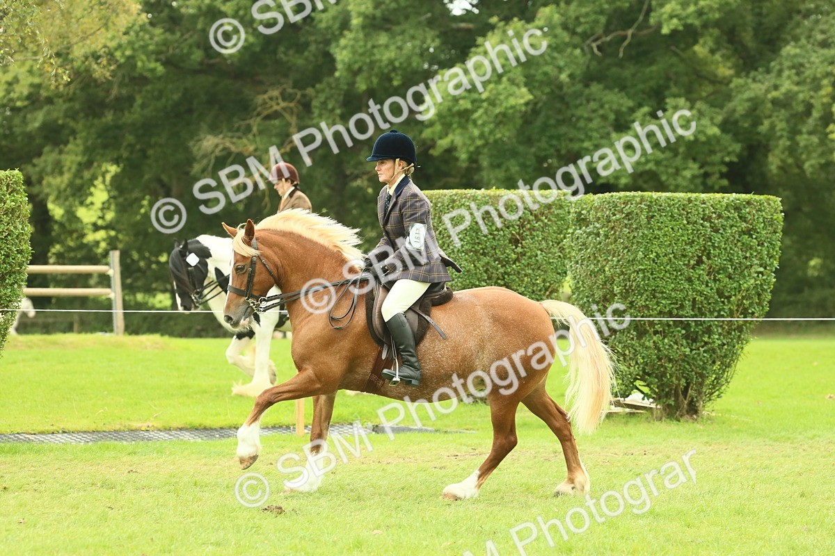 SBM_72083 - S60 - Mountain & Moorland Ridden Large Breeds