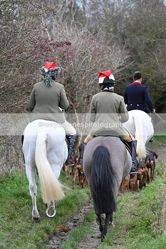 WJ7_0846 - First Seen