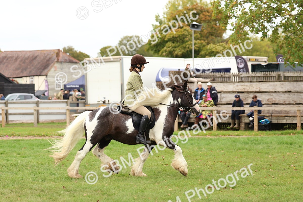 SBM_64548 - S58 - Coloured Pony Ridden