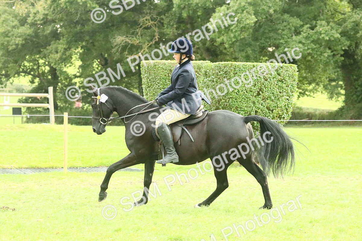 SBM_74106 - S 61 - Show Pony & Show Hunter Pony Ridden