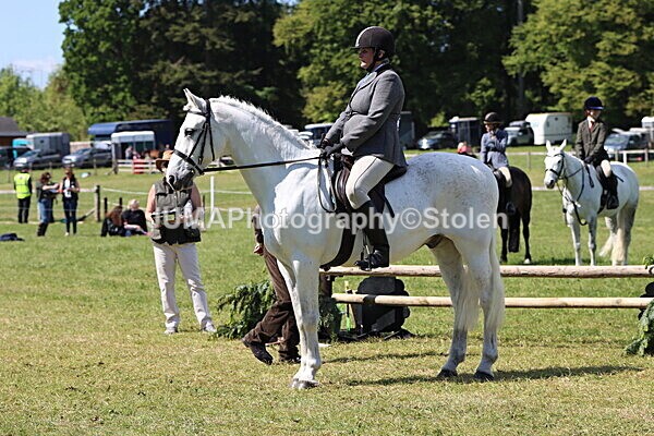 IMG_4172 - Working Hunter
