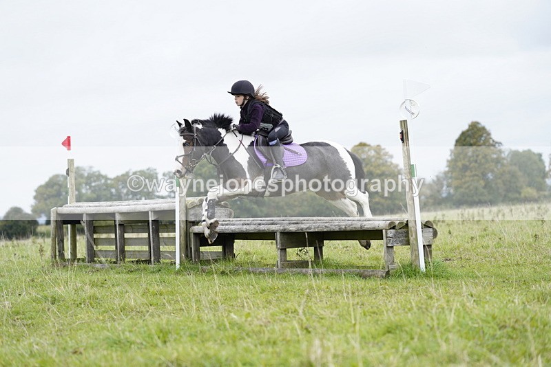 _DSC7301 - Time at Photographer 10:43 to 11:19
