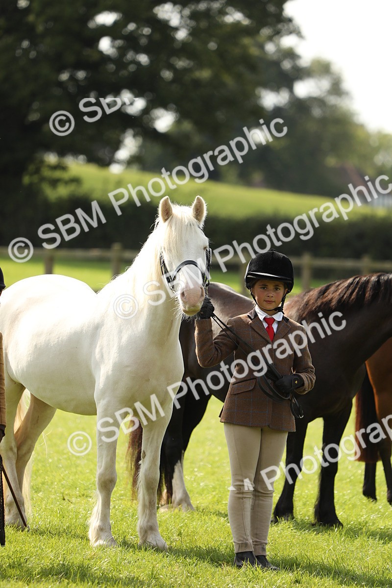 SBM_67832 - S39 - Junior Handler 8  Years & Under
