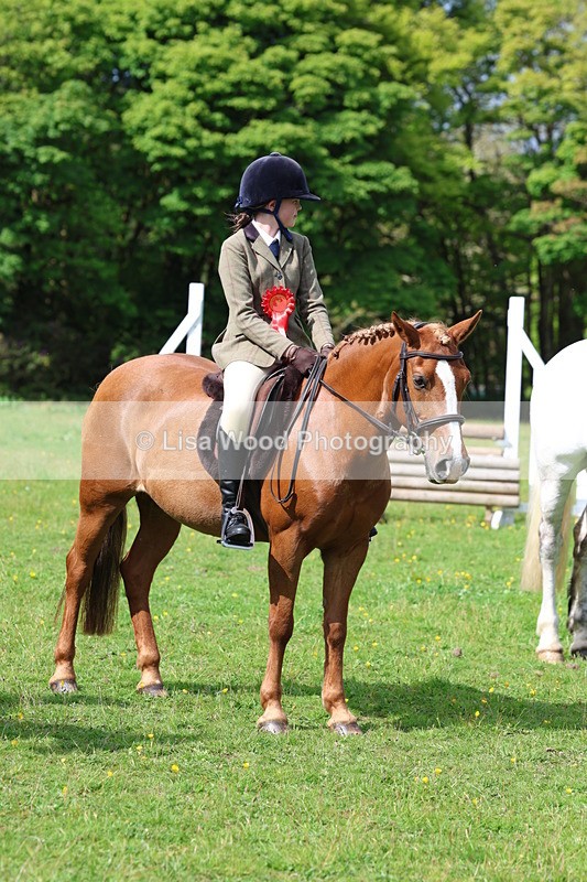 3E7A2732 - Working Hunter Championship