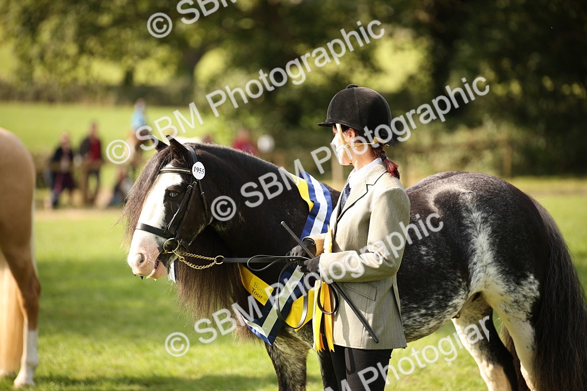 SBM_62965 - In Hand Horse Supreme Championship