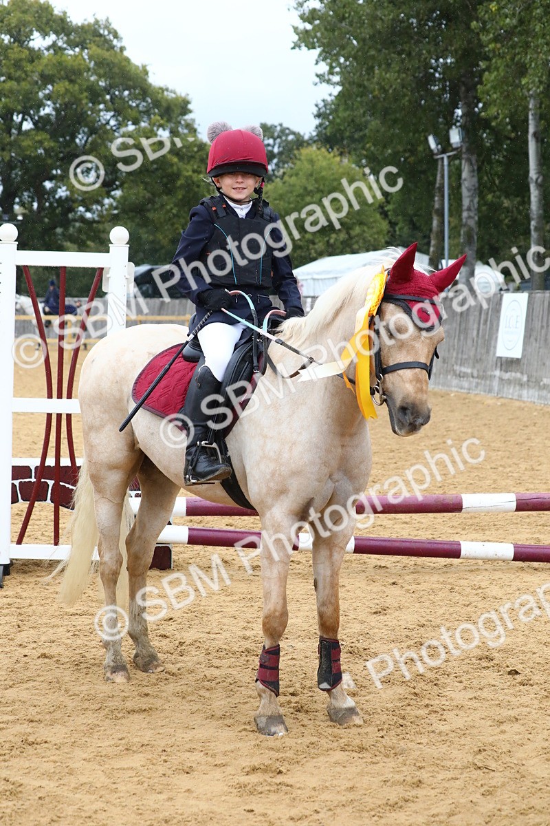 SBM_72104 - J3b - Mini Tour Junior Pony 40cm Championship
