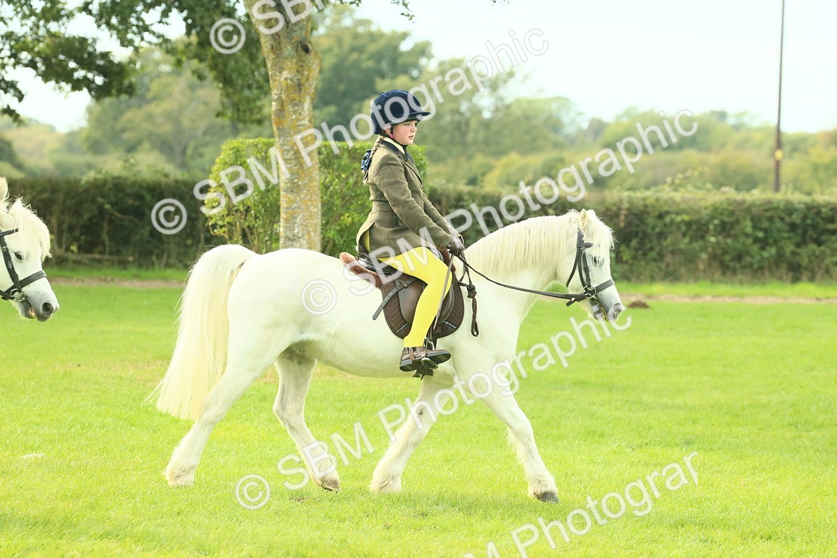 SBM_69817 - S59 - Mountain & Moorland Ridden Small Breeds