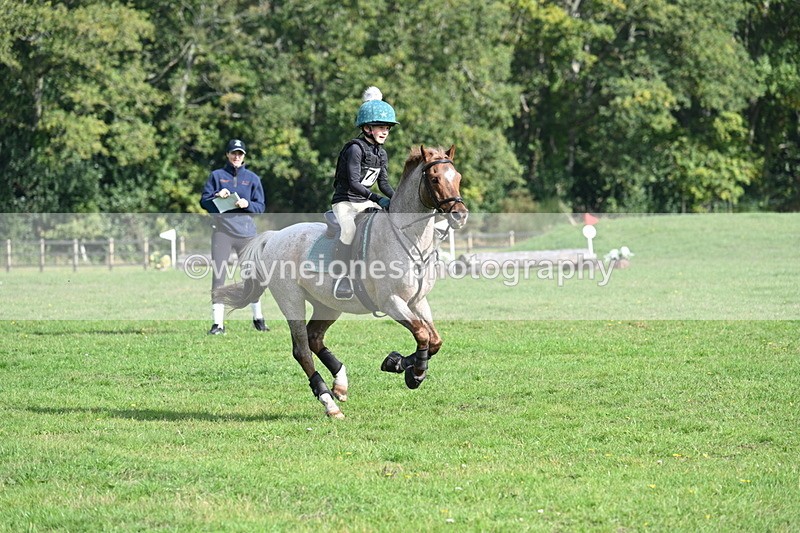 WJ7_4960 - 60cm Time 11:11 to 11:19