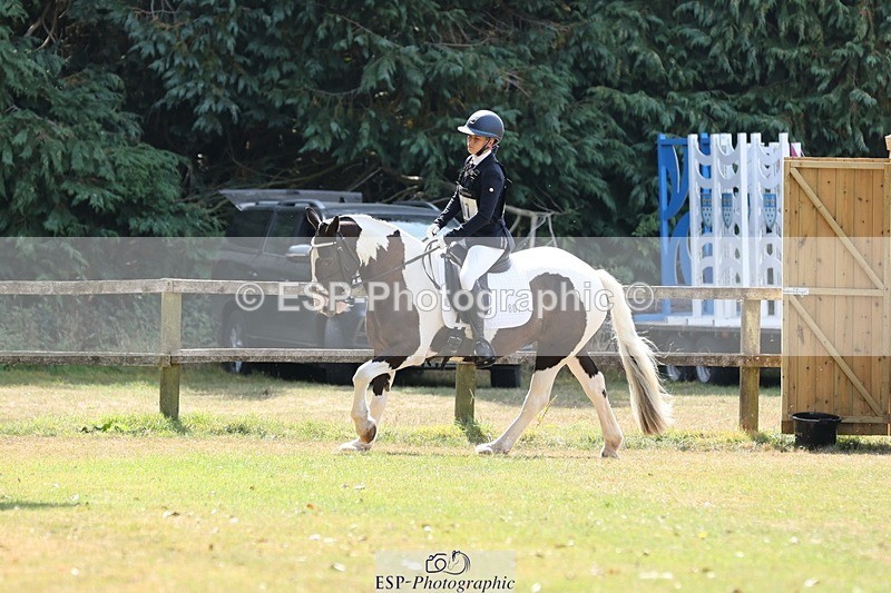 250823A-131501-31498 - Arena C