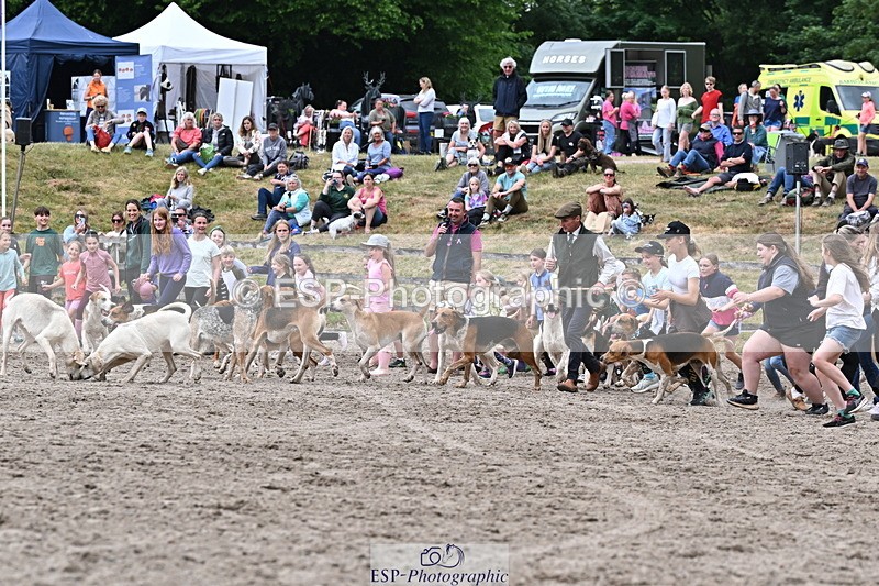 250524A-152732-12743 - East Devon Hounds