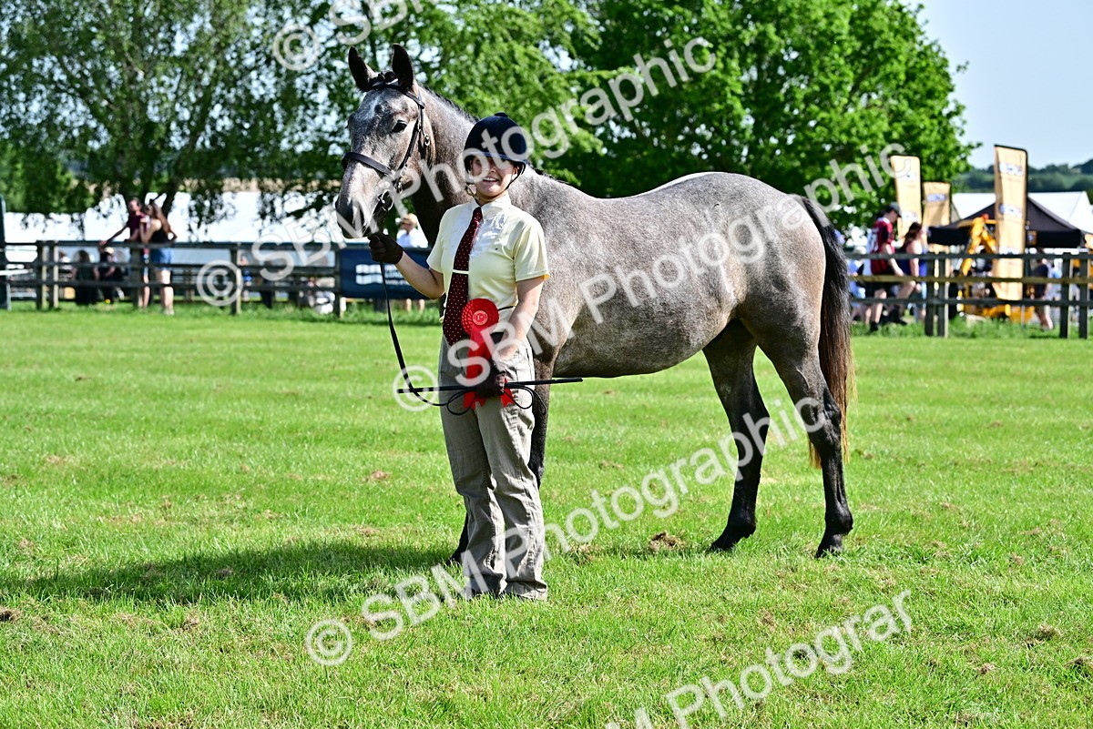 SBM_03310 - Class 50 - 54 Light Horse Breeding
