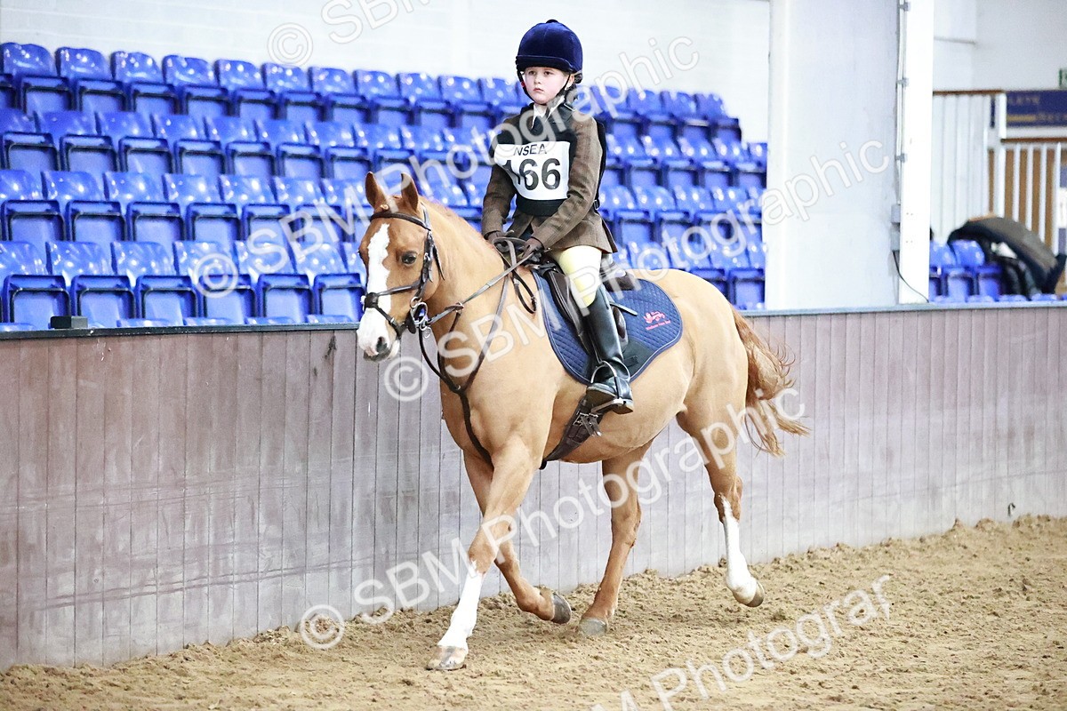 SBM_000209 - Class 2 - 50cm